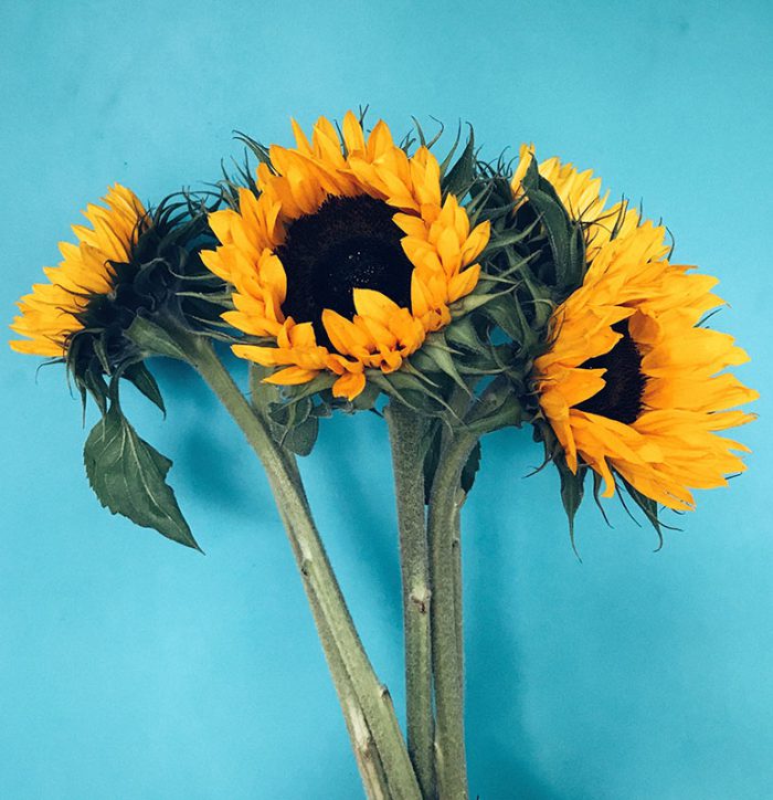 h5-portfolio-03 h5-portfolio-03