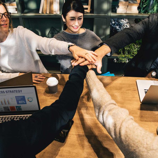 theme-07-600x600 theme-07-600x600